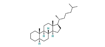 Picture of 5α-Cholestane  