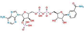 Show details for Β-Nicotinamide Adenine Dinucleotide Phosphate Picture of Β-Nicotinamide Adenine Dinucleotide Phosphate