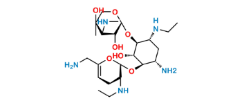 Picture of Netilmicin EP Impurity C