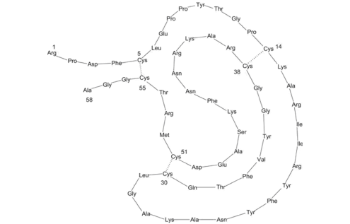 Picture of Aprotinin