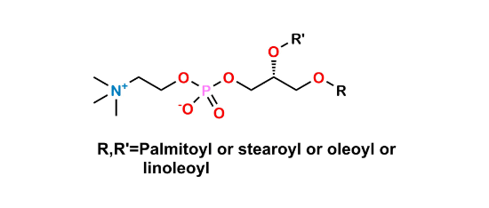 Picture of Phosphatidylcholine