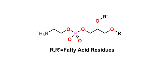 Picture of Phosphatidylethanolamine