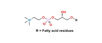 Picture of Lysophosphatidylcholine