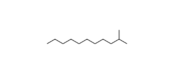 Picture of Isododecane