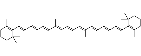 Picture of β-Carotene