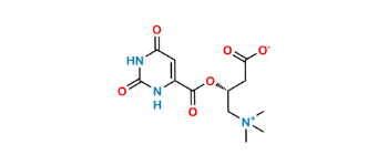 Picture of L-Carnitine Orotate