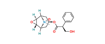 Picture of Scopolamine N-Oxide