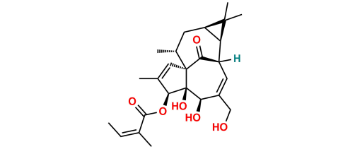 Picture of Ingenol Mebutate 