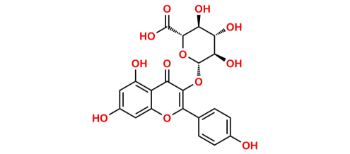 Picture of Kaempferol-3-Glucuronide