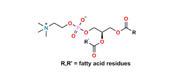 Picture of L-α-Phosphatidylcholine
