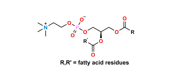 Picture of L-α-Phosphatidylcholine