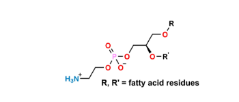 Picture of Phosphatidylethanolamine