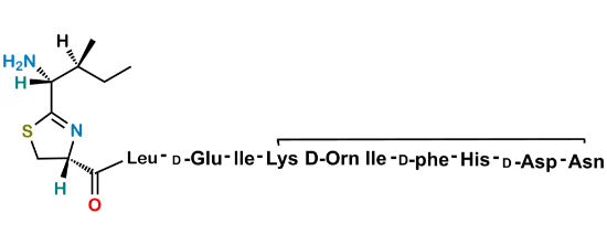 Picture of Bacitracin EP Impurity L