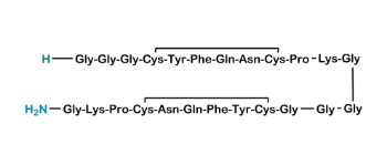 Picture of Terlipressin Dimer Impurity