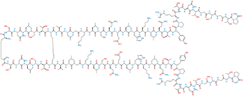 Picture of Calcitonin Parallel Dimer
