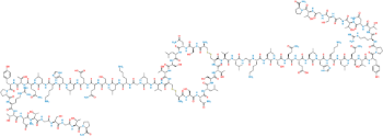 Picture of Calcitonin Anti-Parallel Dimer